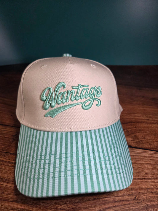 Wantage 3D Puff Embroidered Canvas Hat