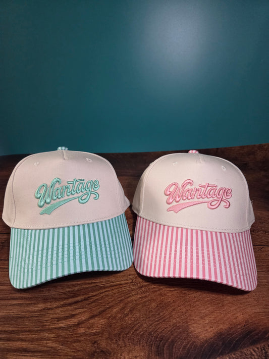 Wantage 3D Puff Embroidered Canvas Hat