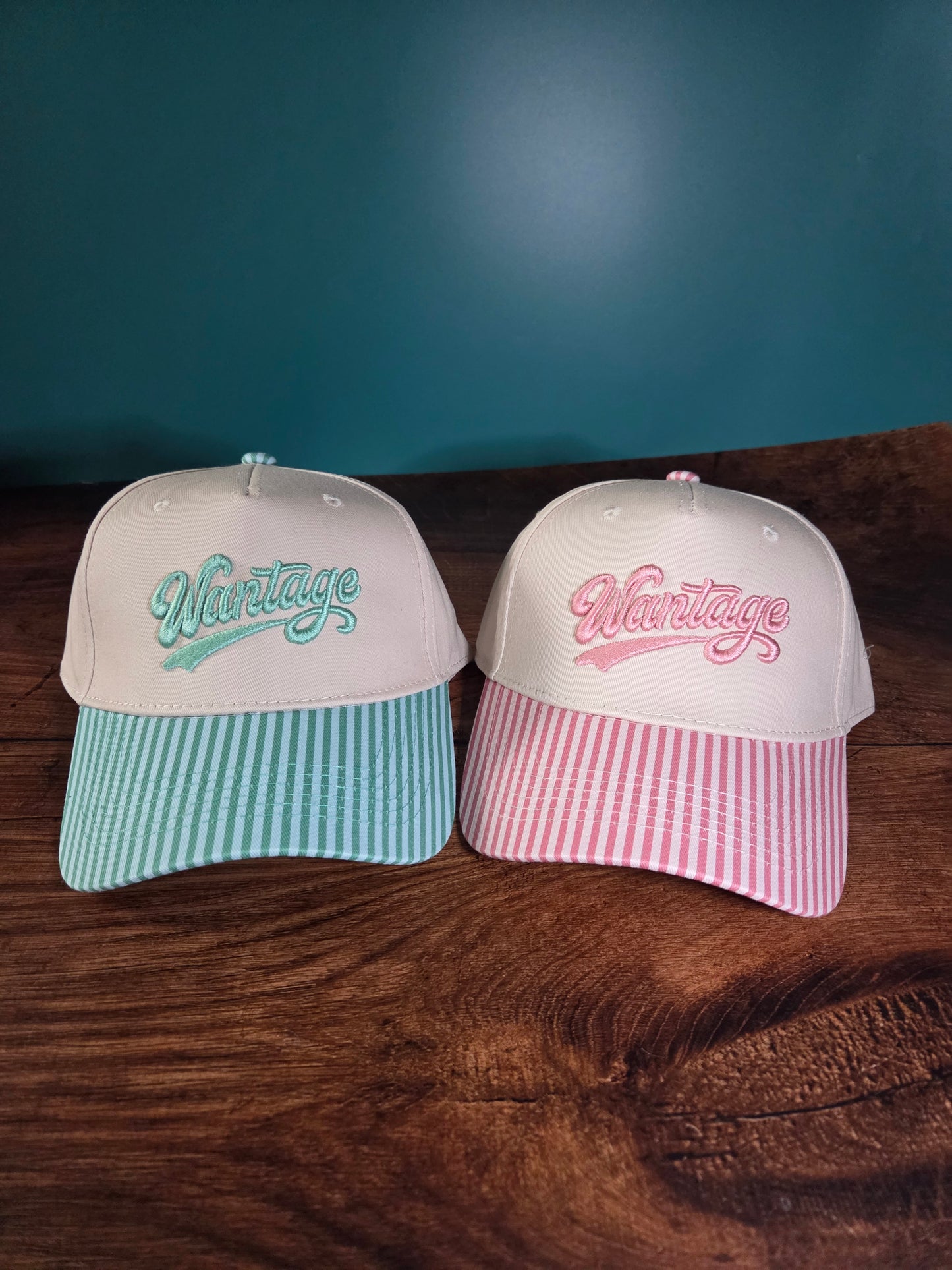 Wantage 3D Puff Embroidered Canvas Hat